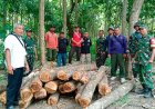 Babinsa Tambakboyo Kodim 0811 Tuban Bersama Asper dan Polhut Gagalkan Aksi Pencurian dan Perusakan Hutan